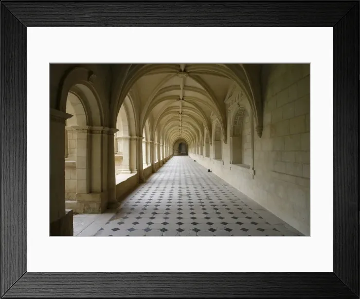 Framed Print : Cloister, Fontevraud Abbey, Fontevraud, Maine-et-Loire, France, Europe Framed Print : Cloister, Fontevraud Abbey, Fontevraud, Maine-et-Loire, France, Europe