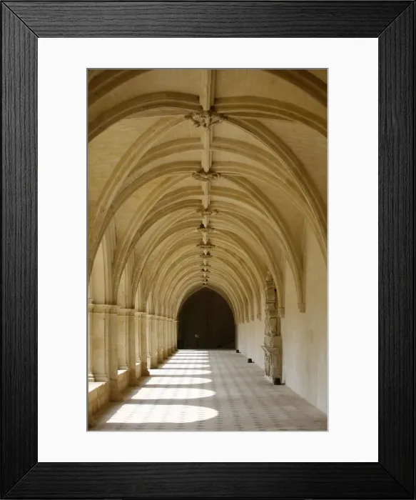 Framed Print : Cloister, Fontevraud Abbey, Fontevraud, Maine-et-Loire, France, Europe Framed Print : Cloister, Fontevraud Abbey, Fontevraud, Maine-et-Loire, France, Europe