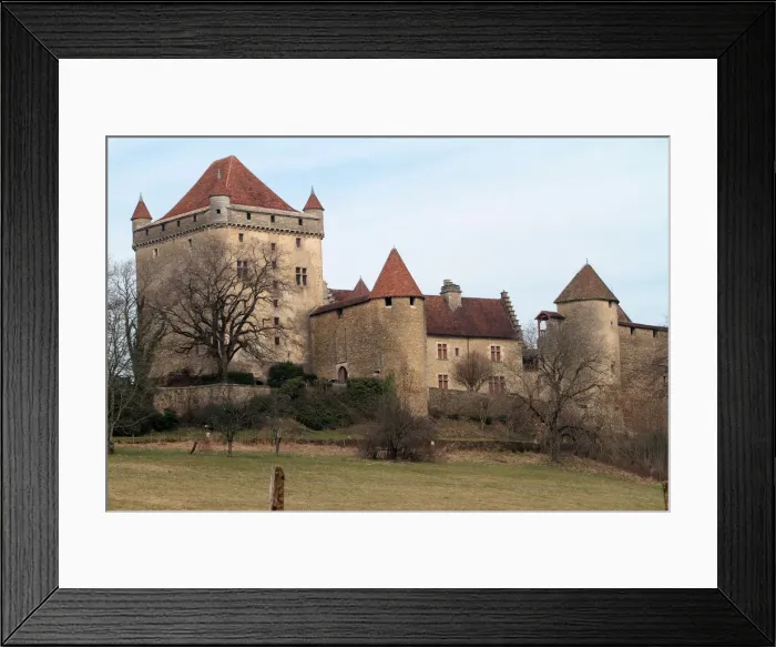 Framed Print : Chateau du Pin, Le Pin, Jura, Franche Comte, France, Europe Framed Print : Chateau du Pin, Le Pin, Jura, Franche Comte, France, Europe
