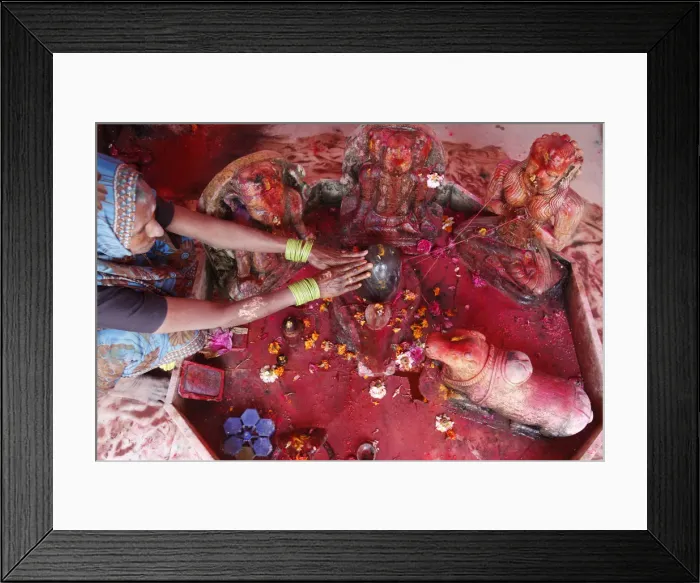 Framed Print : Hindu woman worshipping a lingam during Holi celebration in Goverdan, Uttar Pradesh Framed Print : Hindu woman worshipping a lingam during Holi celebration in Goverdan, Uttar Pradesh