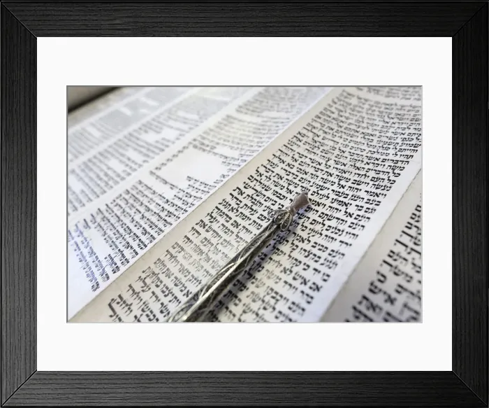 Framed Print : Jewish Torah scroll with pointer, Paris, France, Europe Framed Print : Jewish Torah scroll with pointer, Paris, France, Europe