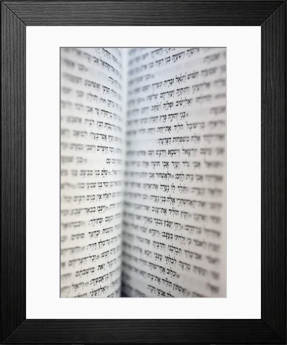 Framed Print : Open Torah, Paris, France, Europe Framed Print : Open Torah, Paris, France, Europe