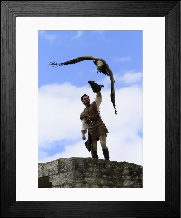 Framed Print : Hawker and the legend of the knights during the medieval festival of Provins Framed Print : Hawker and the legend of the knights during the medieval festival of Provins