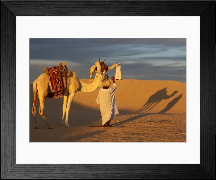 Framed Print : Camel drivers meeting in the Sahara, Douz, Kebili, Tunisia, North Africa, Africa Framed Print : Camel drivers meeting in the Sahara, Douz, Kebili, Tunisia, North Africa, Africa