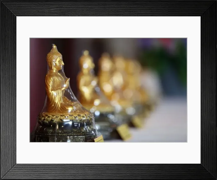 Framed Print : Buddha statue wrapped in cellophane, Paris, France, Europe Framed Print : Buddha statue wrapped in cellophane, Paris, France, Europe