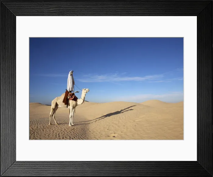 Framed Print : Dromedary rider in the Sahara, Douz, Kebili, Tunisia, North Africa, Africa Framed Print : Dromedary rider in the Sahara, Douz, Kebili, Tunisia, North Africa, Africa