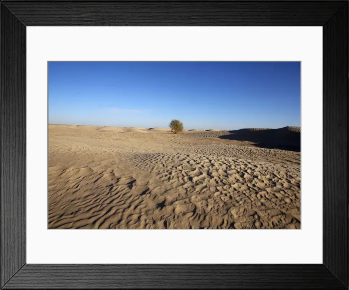 Framed Print : Sahara landscape, Douz, Kebili, Tunisia, North Africa, Africa Framed Print : Sahara landscape, Douz, Kebili, Tunisia, North Africa, Africa