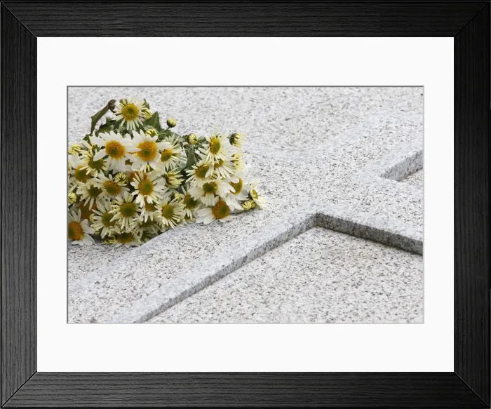 Framed Print : Bouquet of daisies on a tombstone, Paris, France, Europe Framed Print : Bouquet of daisies on a tombstone, Paris, France, Europe