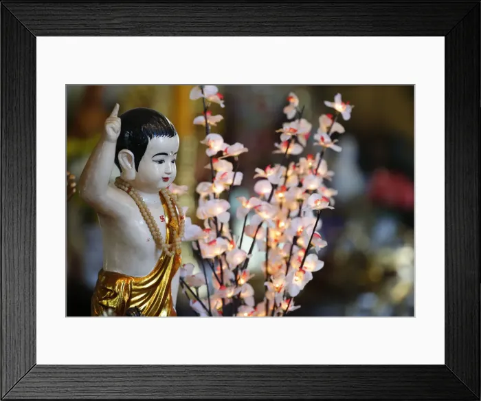Framed Print : Birthday of Shakyamuni Buddha (Vesak), Tu An Buddhist Temple, Saint-Pierre-en-Faucigny Framed Print : Birthday of Shakyamuni Buddha (Vesak), Tu An Buddhist Temple, Saint-Pierre-en-Faucigny