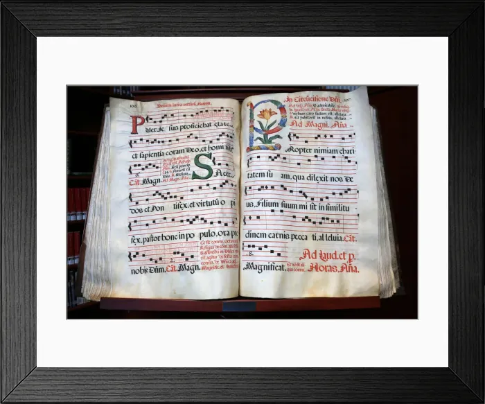 Framed Print : Antiphonal, The Circumcision of Jesus, Domus Galilaeae (House of Galilee Framed Print : Antiphonal, The Circumcision of Jesus, Domus Galilaeae (House of Galilee