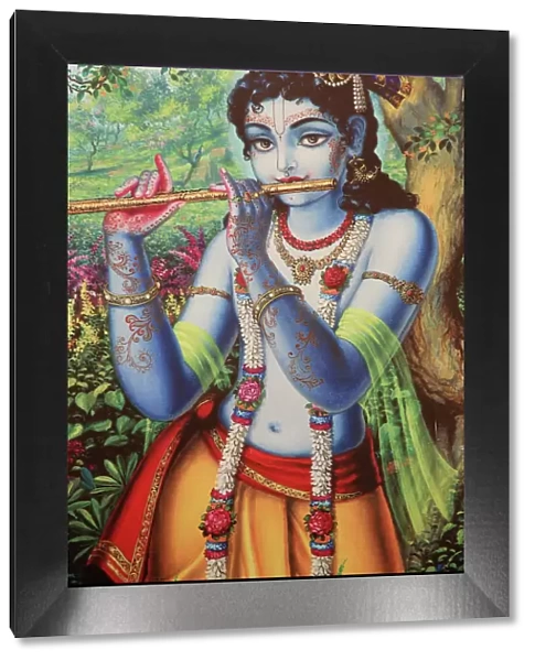Painting depicting Hindu god Krishna playing a flute outdoors, Vrindavan, Uttar Pradesh