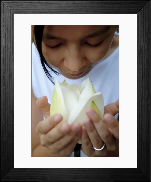Framed Print : Woman with lotus flower, Vietnam, Indochina, Southeast Asia, Asia Framed Print : Woman with lotus flower, Vietnam, Indochina, Southeast Asia, Asia