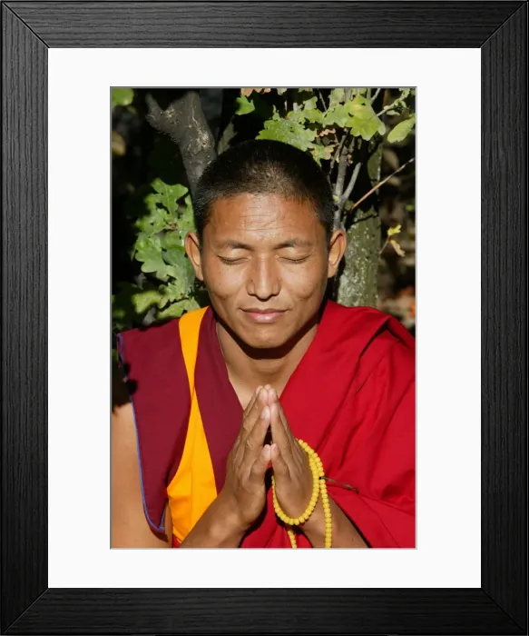 Framed Print : Tibetan monk, Paris, France, Europe Framed Print : Tibetan monk, Paris, France, Europe