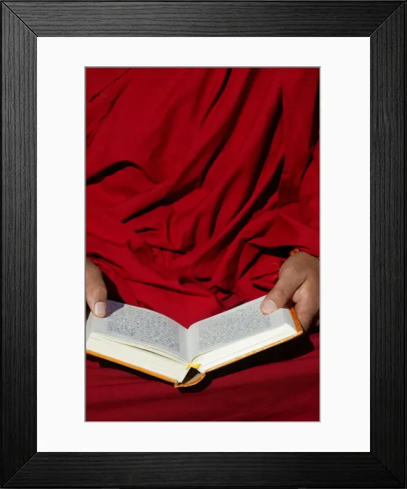 Framed Print : Tibetan monk reading, Paris, France, Europe Framed Print : Tibetan monk reading, Paris, France, Europe