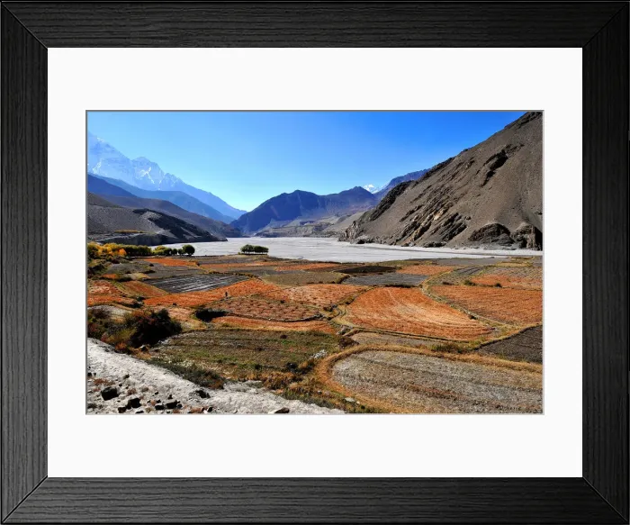 Framed Print : Terraced barley fields near Kagbeni, Mustang, Nepal, Himalayas, Asia Framed Print : Terraced barley fields near Kagbeni, Mustang, Nepal, Himalayas, Asia
