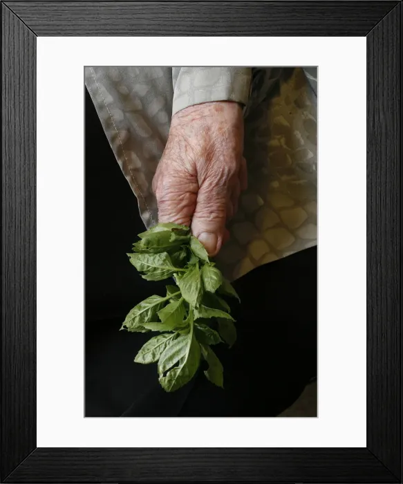 Framed Print : Melkite feast of the cross, Nazareth, Galilee, Israel, Middle East Framed Print : Melkite feast of the cross, Nazareth, Galilee, Israel, Middle East