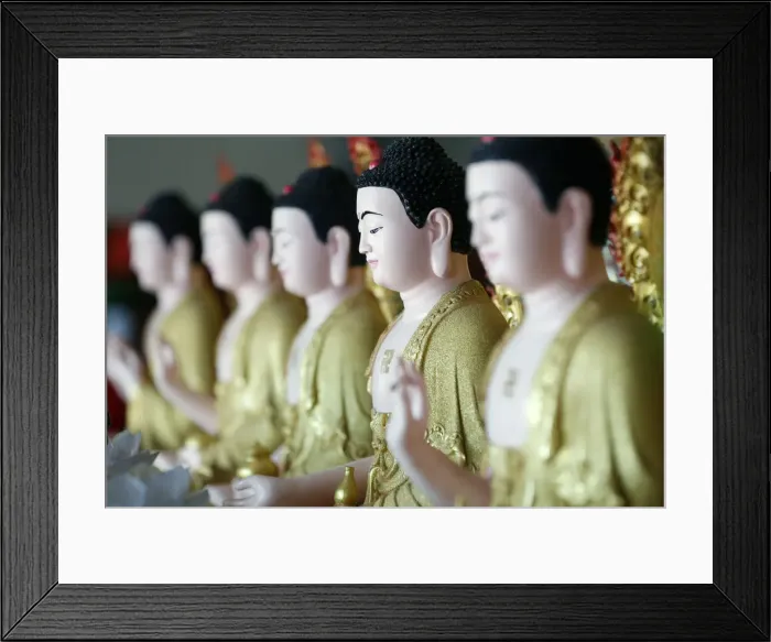 Framed Print : Row of Buddha statues, Hoi Tuong Te Nguoi Hoa Buddhist Chinese temple, Phu Quoc, Vietnam Framed Print : Row of Buddha statues, Hoi Tuong Te Nguoi Hoa Buddhist Chinese temple, Phu Quoc, Vietnam