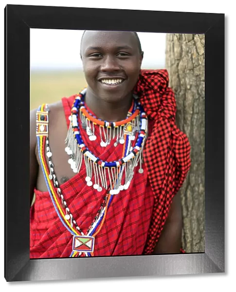 Portrait of a Masai man wearing colorful traditional clothes, Masai Mara Game Reserve