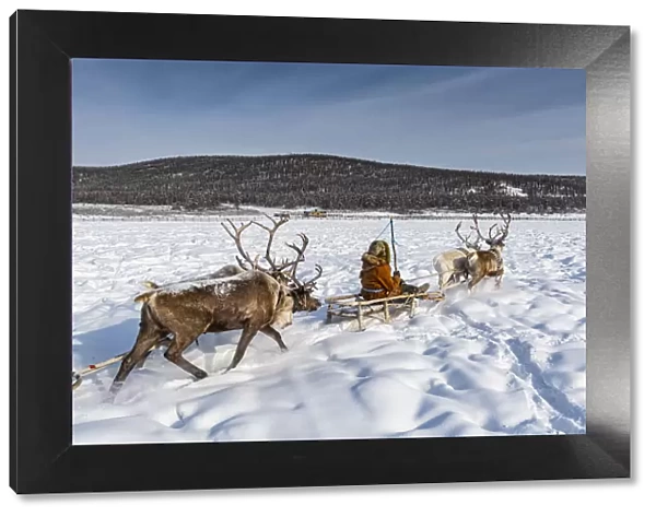 Friendly Evenc family on sledges pulled from reindeers, Oymyakon