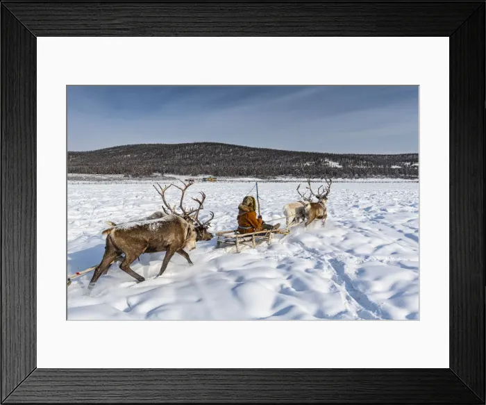 Framed Print : Friendly Evenc family on sledges pulled from reindeers, Oymyakon Framed Print : Friendly Evenc family on sledges pulled from reindeers, Oymyakon