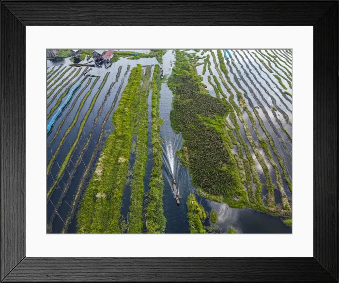 Framed Print : Aerial of the floating gardens, Inle Lake, Shan state, Myanmar (Burma), Asia