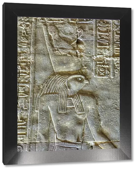 The God Horus, Bas Relief, Sanctuary of Horus, Temple of Horus, Edfu, Egypt, North Africa
