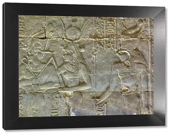 Bas Reliefs, Sanctuary of Horus, Temple of Horus, Edfu, Egypt, North Africa, Africa