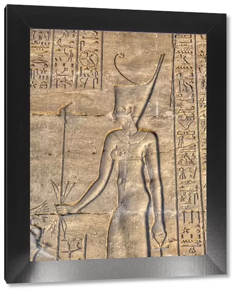 Pharaoh, Bas Relief, Hypostyle Hall, Temple of Khnum, Esna, Egypt, North Africa, Africa