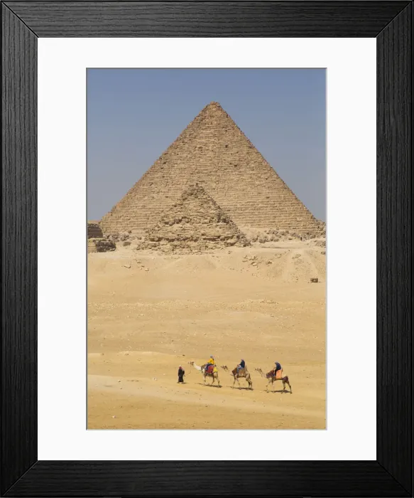 Framed Print : Tourists riding camels, Great Pyramids of Giza, UNESCO World Heritage Site, Giza, Egypt Framed Print : Tourists riding camels, Great Pyramids of Giza, UNESCO World Heritage Site, Giza, Egypt