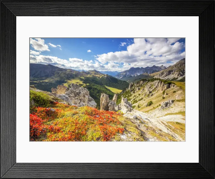 Framed Print : Blueberry leaves in autumn near rock towers in the Swiss National Park, Fuorn Pass Framed Print : Blueberry leaves in autumn near rock towers in the Swiss National Park, Fuorn Pass
