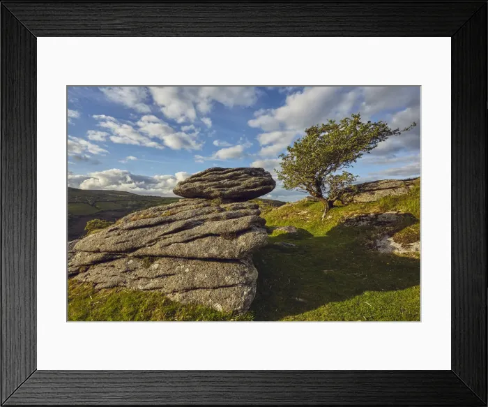Framed Print : A classic Dartmoor scene, a granite boulder and wind-gnarled hawthorn tree, on Bench Tor Framed Print : A classic Dartmoor scene, a granite boulder and wind-gnarled hawthorn tree, on Bench Tor