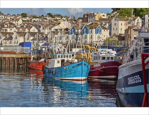 Fishing boats tied up in Brixham harbour, the south coasts busiest fishing port