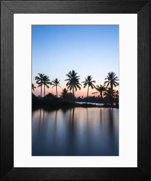 Framed Print : Palm trees reflecting in backwaters, Munroe Island, Kollam, Kerala, India, Asia Framed Print : Palm trees reflecting in backwaters, Munroe Island, Kollam, Kerala, India, Asia