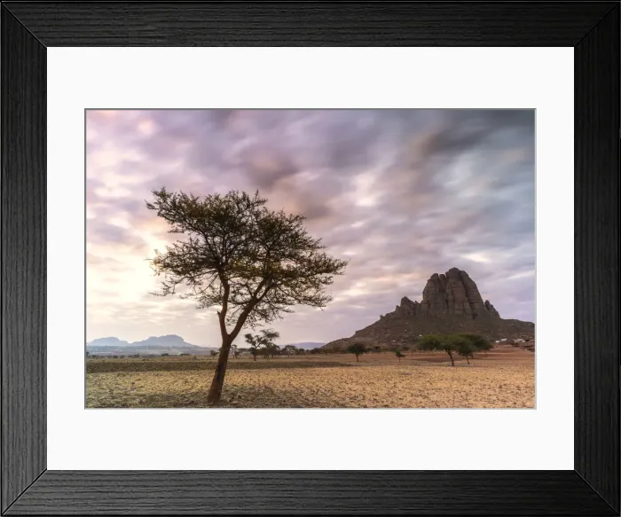Framed Print : Lone trees at sunset, Gheralta Mountains, Hawzen, Tigray Region, Ethiopia, Africa Framed Print : Lone trees at sunset, Gheralta Mountains, Hawzen, Tigray Region, Ethiopia, Africa