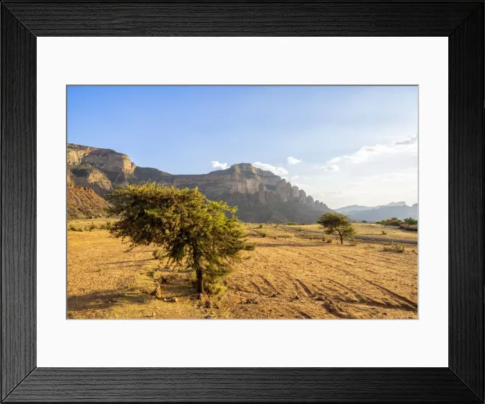 Framed Print : Lone trees in the dry land with Gheralta Mountains in background, Hawzen, Tigray Region Framed Print : Lone trees in the dry land with Gheralta Mountains in background, Hawzen, Tigray Region