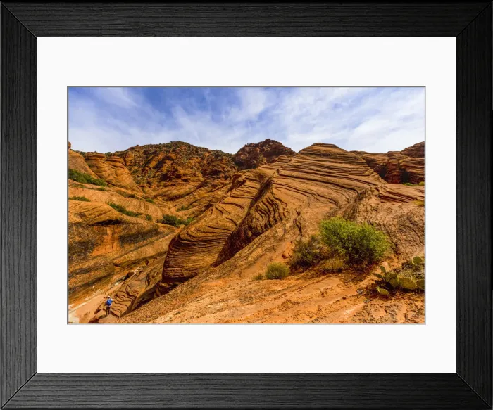 Framed Print : Beautiful view along a trail in Zion National Park, Utah, United States of America Framed Print : Beautiful view along a trail in Zion National Park, Utah, United States of America