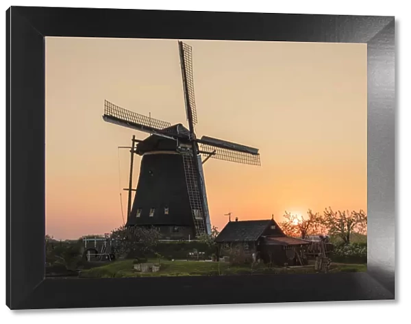Windmill at sunset, Kinderdijk, UNESCO World Heritage Site, South Holland, Netherlands