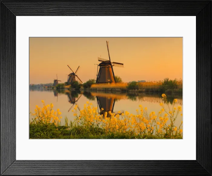 Framed Print : Windmills at sunrise, Kinderdijk, UNESCO World Heritage Site, South Holland, Netherlands Framed Print : Windmills at sunrise, Kinderdijk, UNESCO World Heritage Site, South Holland, Netherlands