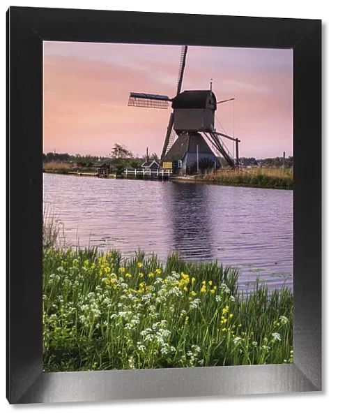Windmill at sunrise, Kinderdijk, UNESCO World Heritage Site, South Holland, Netherlands