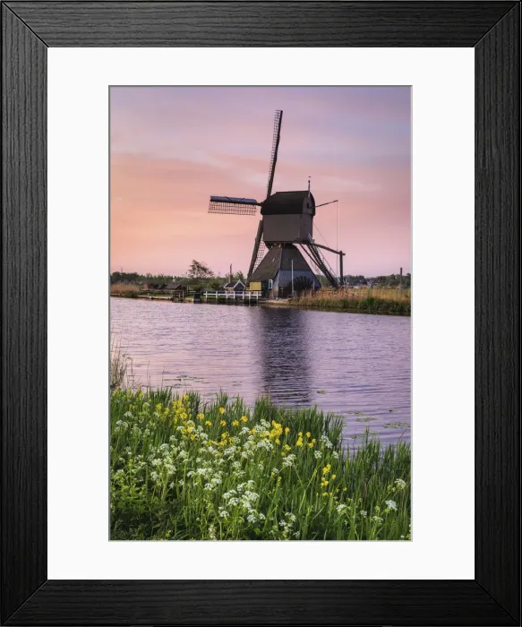 Framed Print : Windmill at sunrise, Kinderdijk, UNESCO World Heritage Site, South Holland, Netherlands Framed Print : Windmill at sunrise, Kinderdijk, UNESCO World Heritage Site, South Holland, Netherlands