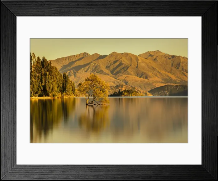 Framed Print : Lake Wanaka at sunrise, Mount-Aspiring National Park, UNESCO World Heritage Site, Otago Framed Print : Lake Wanaka at sunrise, Mount-Aspiring National Park, UNESCO World Heritage Site, Otago