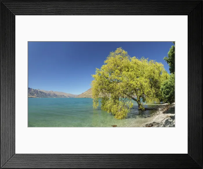 Framed Print : At the shore of Lake Wakatipu, Queenstown, Otago, South Island, New Zealand, Pacific Framed Print : At the shore of Lake Wakatipu, Queenstown, Otago, South Island, New Zealand, Pacific