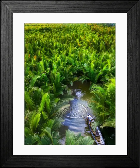 Framed Print : Fisherman fishing in the middle of nipa palm forest, Quang Ngai, Vietnam, Indochina Framed Print : Fisherman fishing in the middle of nipa palm forest, Quang Ngai, Vietnam, Indochina
