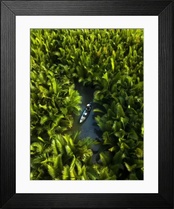 Framed Print : Fisherman fishing in the middle of nipa palm forest, Quang Ngai, Vietnam, Indochina Framed Print : Fisherman fishing in the middle of nipa palm forest, Quang Ngai, Vietnam, Indochina