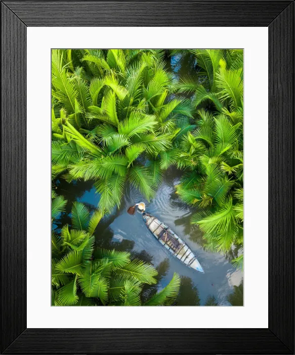 Framed Print : Fisherman fishing in the middle of nipa palm forest, Quang Ngai, Vietnam, Indochina Framed Print : Fisherman fishing in the middle of nipa palm forest, Quang Ngai, Vietnam, Indochina