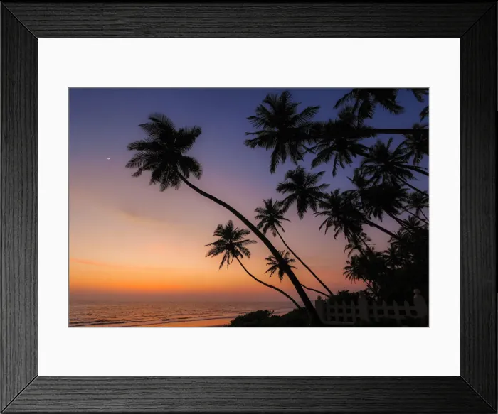 Framed Print : Leaning palm trees at sunset on lovely unspoilt Kizhunna Beach Framed Print : Leaning palm trees at sunset on lovely unspoilt Kizhunna Beach