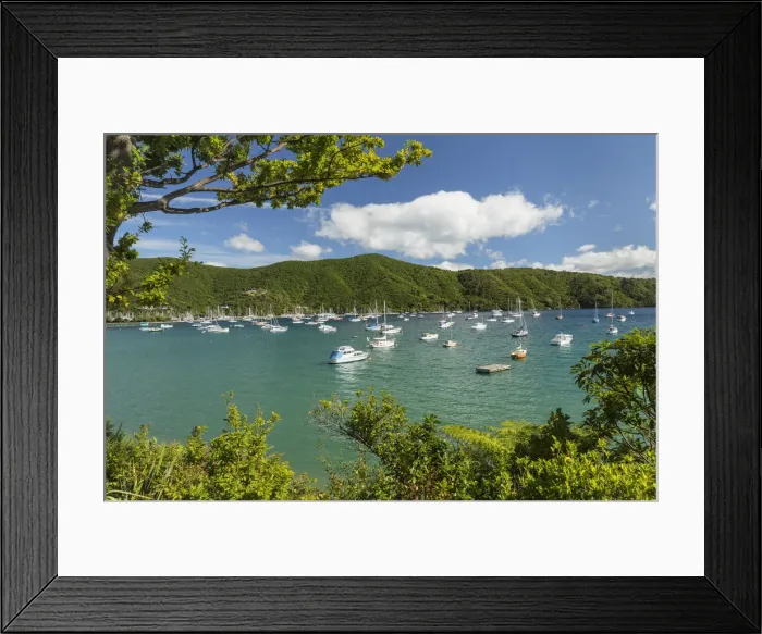 Framed Print : Marina at Waikawa, Picton, Marlborough Sounds, South Island, New Zealand, Pacific Framed Print : Marina at Waikawa, Picton, Marlborough Sounds, South Island, New Zealand, Pacific