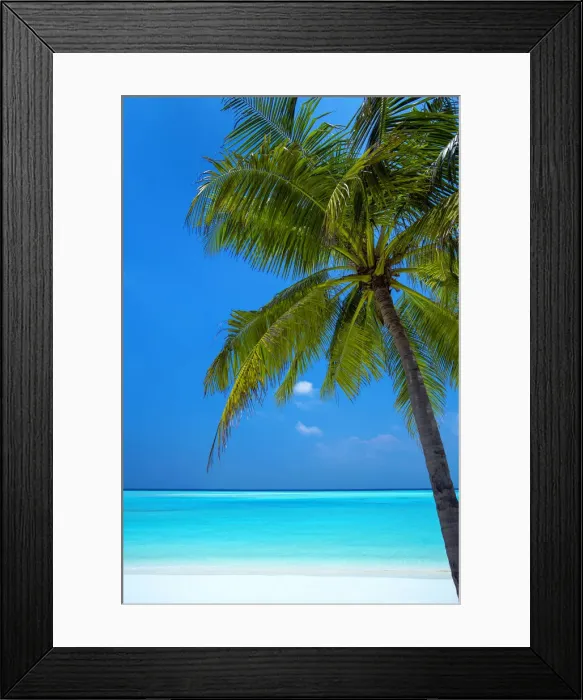 Framed Print : Palm tree and tropical beach, The Maldives, Indian Ocean, Asia Framed Print : Palm tree and tropical beach, The Maldives, Indian Ocean, Asia