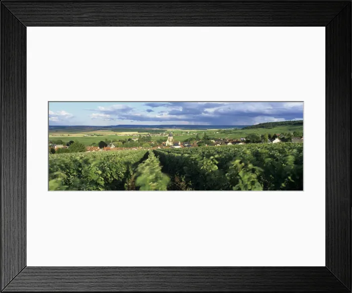 Framed Print : View over Champagne vineyards to the village of Villedommange (Ville Dommange Framed Print : View over Champagne vineyards to the village of Villedommange (Ville Dommange