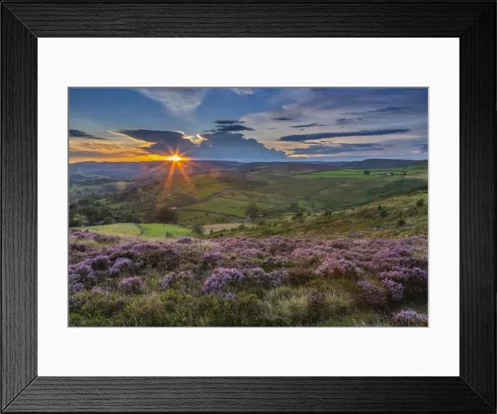Framed Print : View of flowering heather on Stanage Edge and Hope Valley at sunset, Hathersage Framed Print : View of flowering heather on Stanage Edge and Hope Valley at sunset, Hathersage